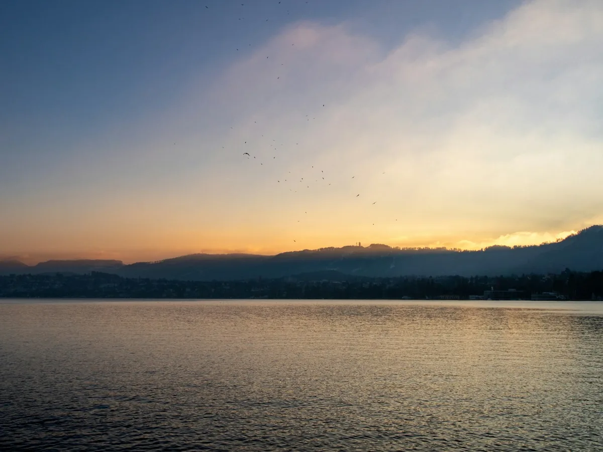 Lake Zürich at golden hour with the wooded Pfannenstiel slope of the Goldküste near Herrliberg