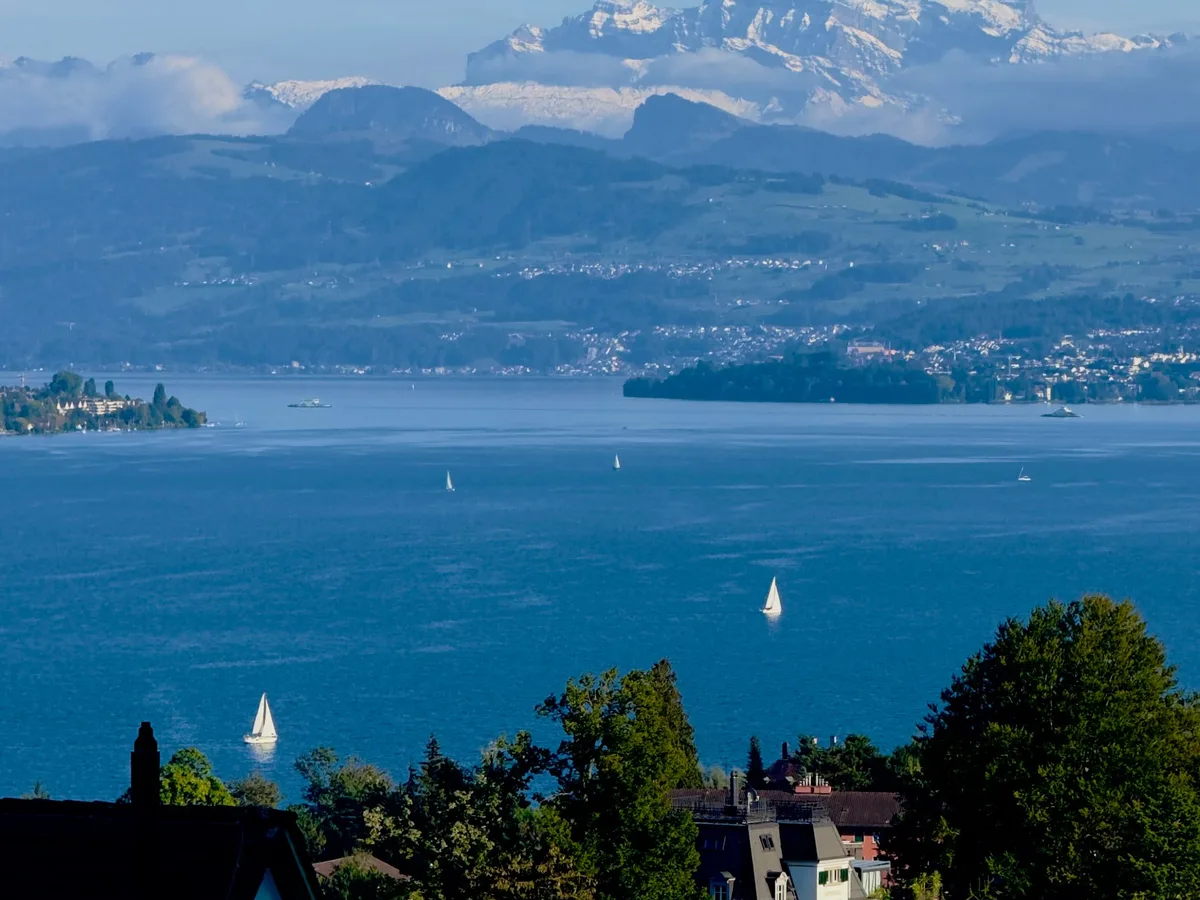 Vineyard slopes and the upper Lake Zürich with the Swiss Alps beyond, seen from Stäfa on the Goldküste