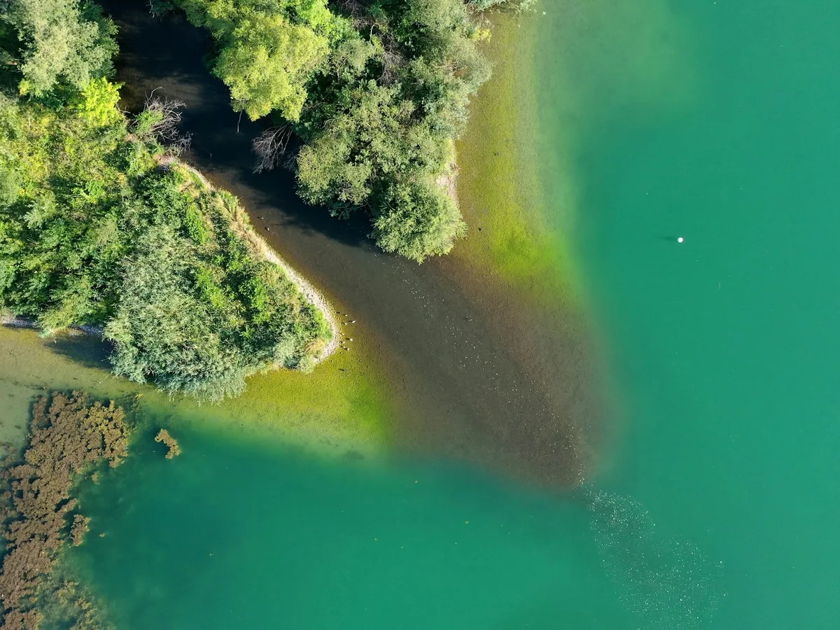Aerial view of the wooded Greifensee shoreline near Uster in the Zürcher Oberland