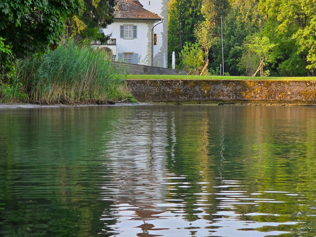 Calm green water of Lake Zürich reflecting a historic lakeside manor at Wädenswil